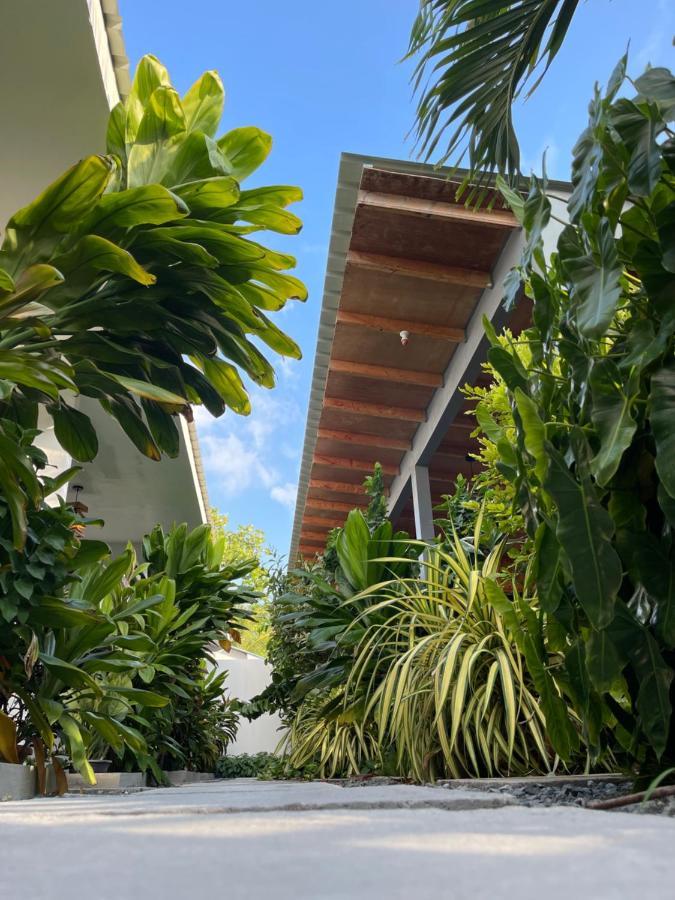 Royal Stay Inn Thoddoo Eksteriør bilde